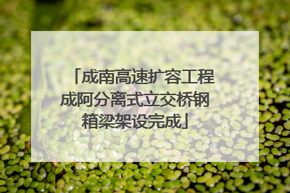 成南高速扩容工程成阿分离式立交桥钢箱梁架设完成