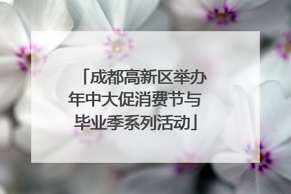 成都高新区举办年中大促消费节与毕业季系列活动