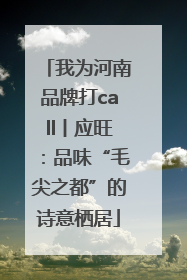 我为河南品牌打call丨应旺：品味“毛尖之都”的诗意栖居