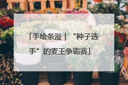 手绘条漫｜“种子选手”的麦王争霸赛