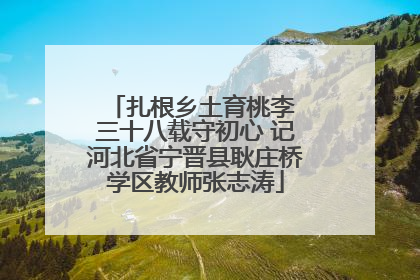 扎根乡土育桃李 三十八载守初心 记河北省宁晋县耿庄桥学区教师张志涛