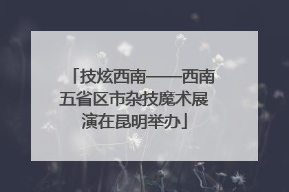 技炫西南——西南五省区市杂技魔术展演在昆明举办