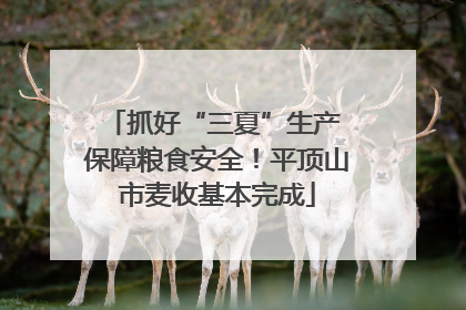 抓好“三夏”生产 保障粮食安全！平顶山市麦收基本完成