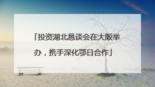 投资湖北恳谈会在大阪举办，携手深化鄂日合作