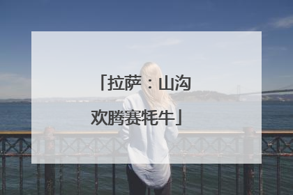 拉萨：山沟欢腾赛牦牛