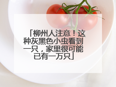 柳州人注意！这种灰黑色小虫看到一只，家里很可能已有一万只