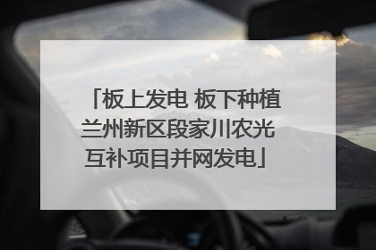 板上发电 板下种植 兰州新区段家川农光互补项目并网发电