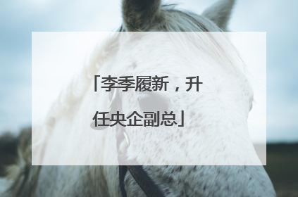 李季履新，升任央企副总