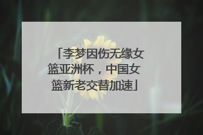 李梦因伤无缘女篮亚洲杯，中国女篮新老交替加速