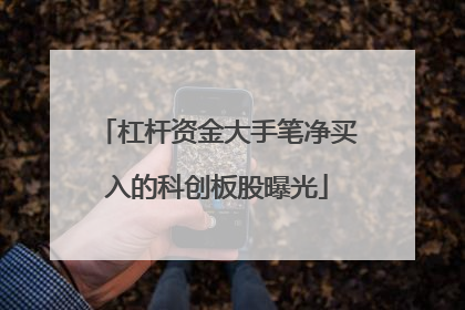 杠杆资金大手笔净买入的科创板股曝光