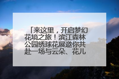 来这里，开启梦幻花境之旅！滨江森林公园绣球花展邀你共赴一场与云朵、花儿的浪漫之约
