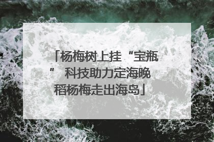 杨梅树上挂“宝瓶” 科技助力定海晚稻杨梅走出海岛