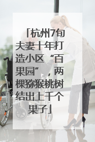 杭州7旬夫妻十年打造小区“百果园”，两棵猕猴桃树结出上千个果子