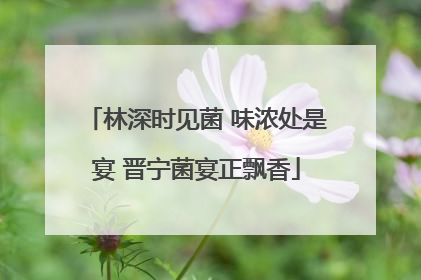 林深时见菌 味浓处是宴 晋宁菌宴正飘香