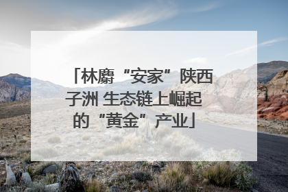林麝“安家”陕西子洲 生态链上崛起的“黄金”产业