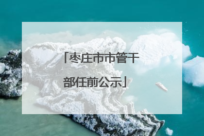 枣庄市市管干部任前公示