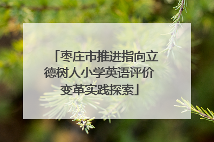 枣庄市推进指向立德树人小学英语评价变革实践探索