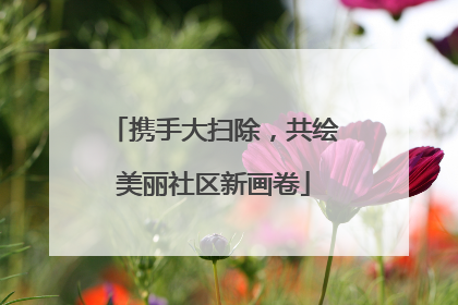携手大扫除，共绘美丽社区新画卷