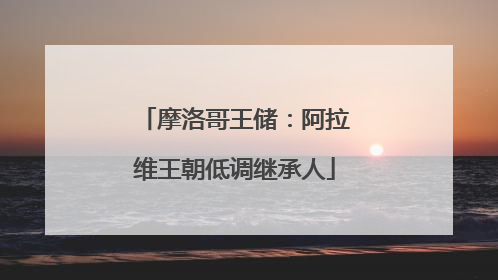 摩洛哥王储：阿拉维王朝低调继承人