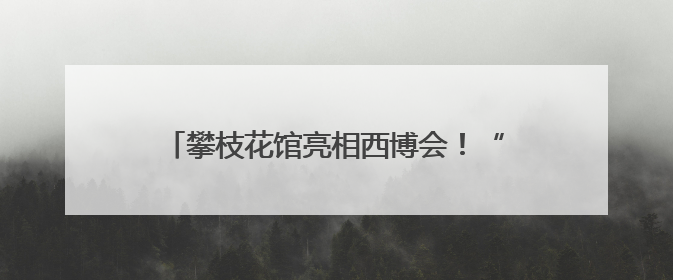 攀枝花馆亮相西博会！“豹局长”带你体验“暖暖花城”独特魅力｜西博视界