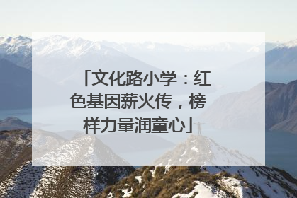文化路小学：红色基因薪火传，榜样力量润童心