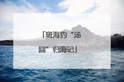 斑海豹“汤圆”归海记