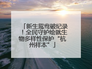 新生鸳鸯破纪录！全民守护绘就生物多样性保护“杭州样本”