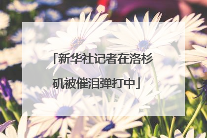 新华社记者在洛杉矶被催泪弹打中