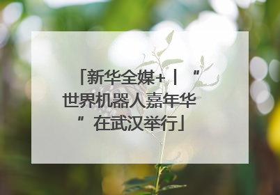 新华全媒+丨“世界机器人嘉年华”在武汉举行