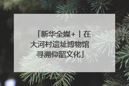 新华全媒+丨在大河村遗址博物馆寻溯仰韶文化