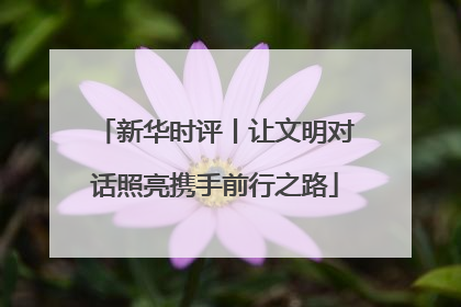 新华时评丨让文明对话照亮携手前行之路