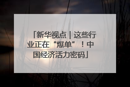 新华视点｜这些行业正在“爆单”！中国经济活力密码