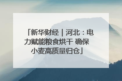 新华财经｜河北：电力赋能粮食烘干 确保小麦高质量归仓