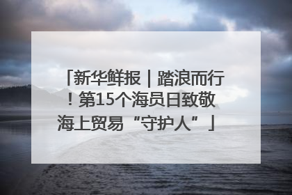 新华鲜报｜踏浪而行！第15个海员日致敬海上贸易“守护人”