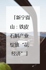 新宁崀山：铁皮石斛产业绽放“花经济”