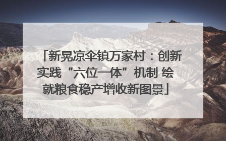 新晃凉伞镇万家村：创新实践“六位一体”机制 绘就粮食稳产增收新图景