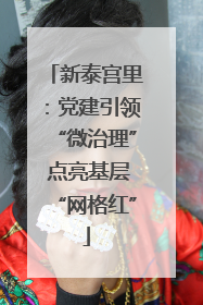 新泰宫里：党建引领“微治理” 点亮基层“网格红”