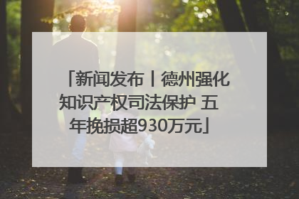 新闻发布丨德州强化知识产权司法保护 五年挽损超930万元