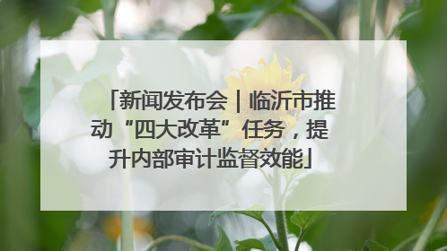新闻发布会｜临沂市推动“四大改革”任务，提升内部审计监督效能