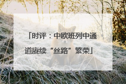 时评：中欧班列中通道赓续“丝路”繁荣