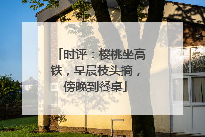 时评：樱桃坐高铁，早晨枝头摘，傍晚到餐桌