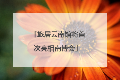 旅居云南馆将首次亮相南博会