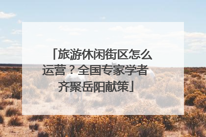 旅游休闲街区怎么运营？全国专家学者齐聚岳阳献策
