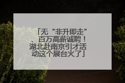 无“非升即走”、百万高薪诚聘！湖北赴南京引才活动这个展台火了