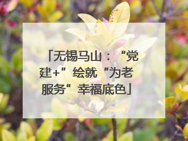 无锡马山：“党建+”绘就“为老服务”幸福底色