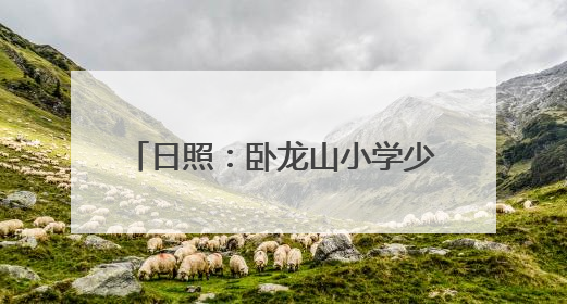 日照：卧龙山小学少先大队被授予全国优秀少先队集体称号