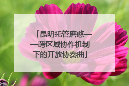 昆明托管磨憨——跨区域协作机制下的开放协奏曲