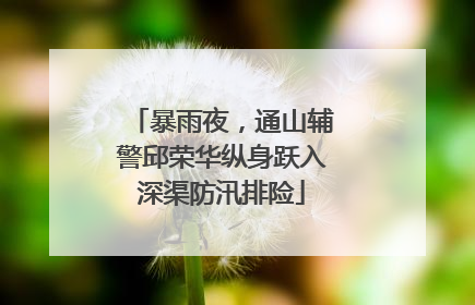 暴雨夜，通山辅警邱荣华纵身跃入深渠防汛排险