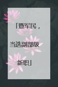 暨军民，当选副部级新职