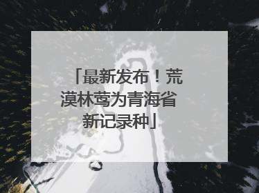 最新发布！荒漠林莺为青海省新记录种
